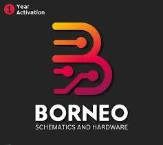 Borneo Schematic - 1 Year 1 User Activation