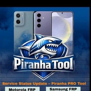 Piranha Tool 12 Months